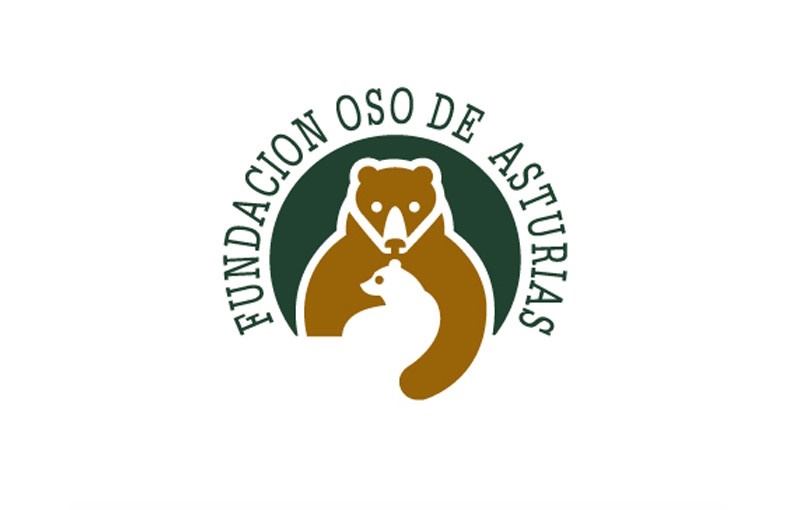 organizacion3