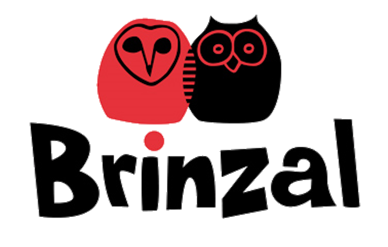 organizacion-brinzal